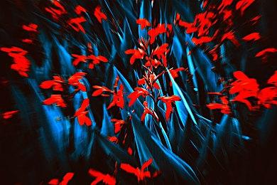 《GTA 6》角色动作泄露 重现《荒野大镖客2》掐脖子